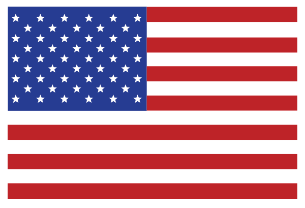 the American flag